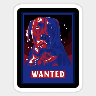 Dog Wanted Sticker